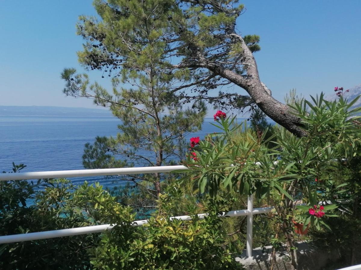 Apartmani Mares - 20 M From The Beach Brela Exteriör bild