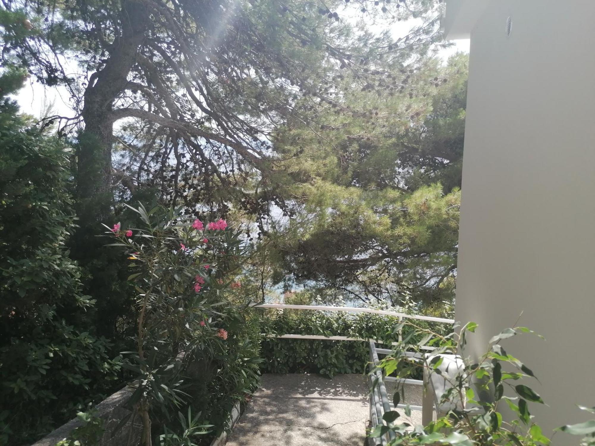 Apartmani Mares - 20 M From The Beach Brela Exteriör bild